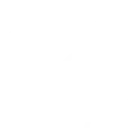 Food Package