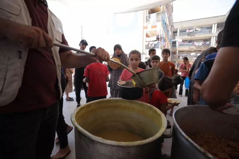 Gaza Community Meal: Providing Hot Meals to 5,000 People Became a Symbol of Unity and Solidarity.